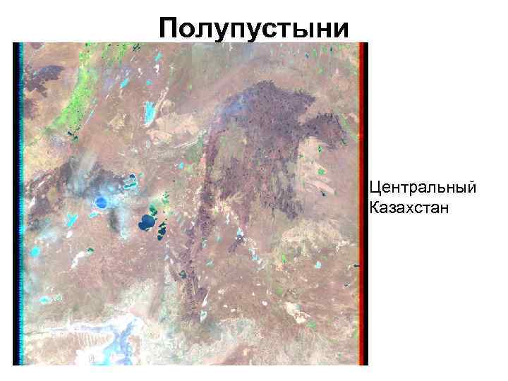 Полупустыни Центральный Казахстан 