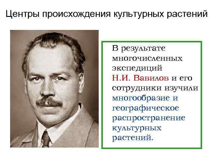Центры происхождения культурных растений    В результате     многочисленных