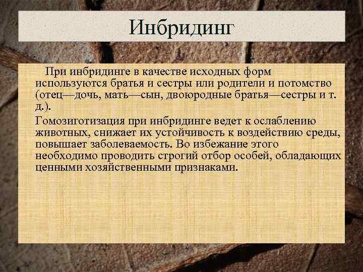     Инбридинг  При инбридинге в качестве исходных форм используются братья