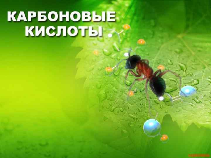 Карбоновые кислоты   11 хб 