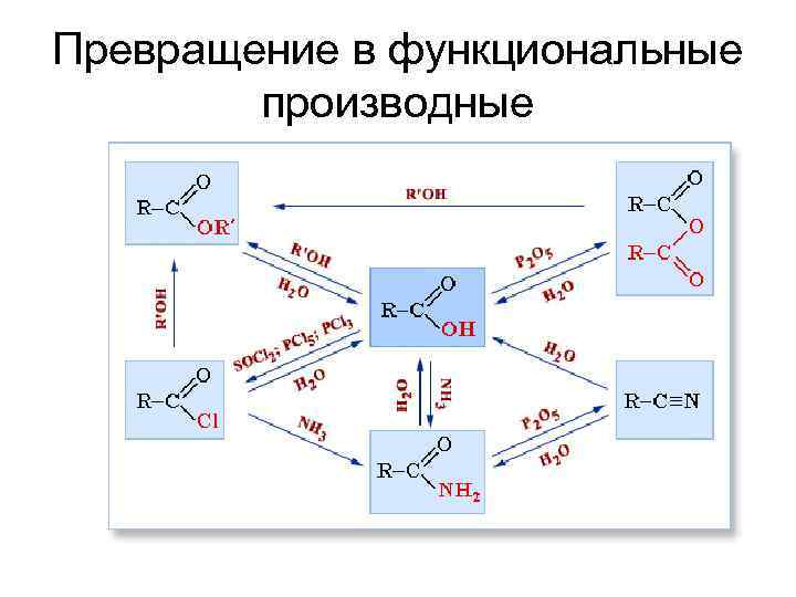 Превращение в функциональные   производные 