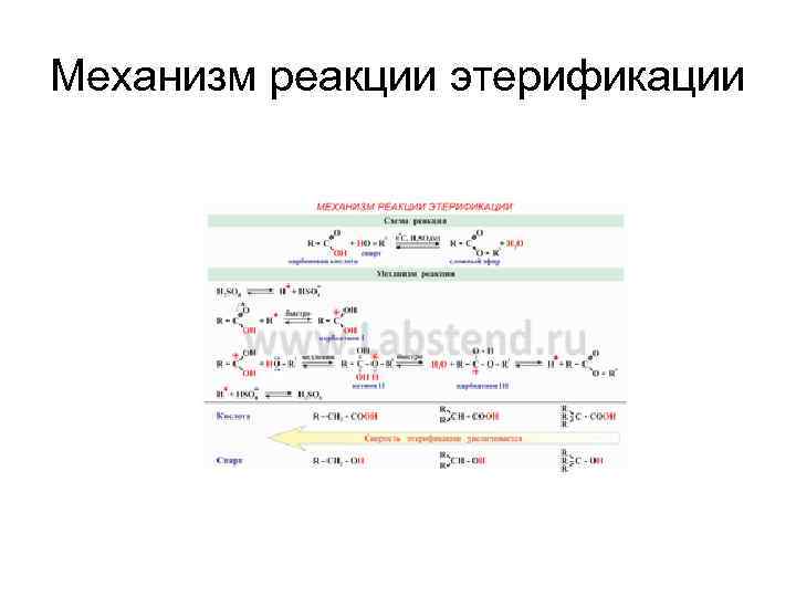 Механизм реакции этерификации 