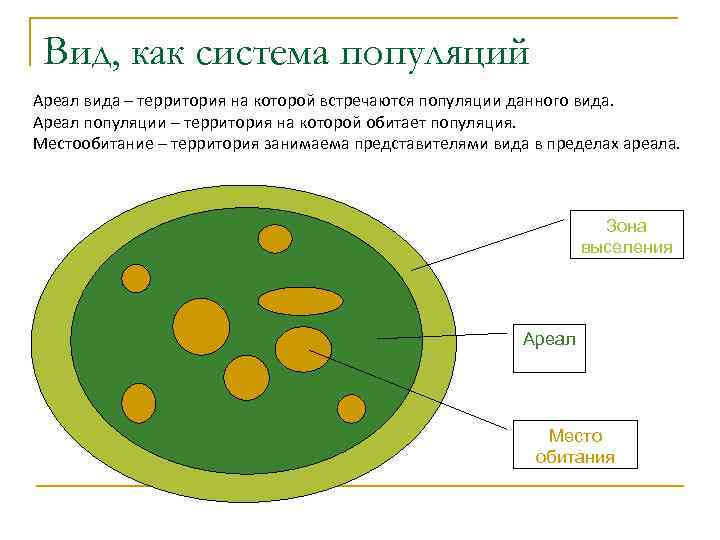 Зона состоит из