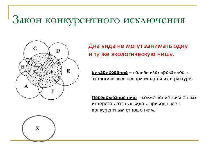 Принцип конкурентного исключения