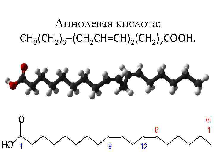  Линолевая кислота: CH 3(CH 2)3–(CH 2 CH=CH)2(CH 2)7 COOH. 