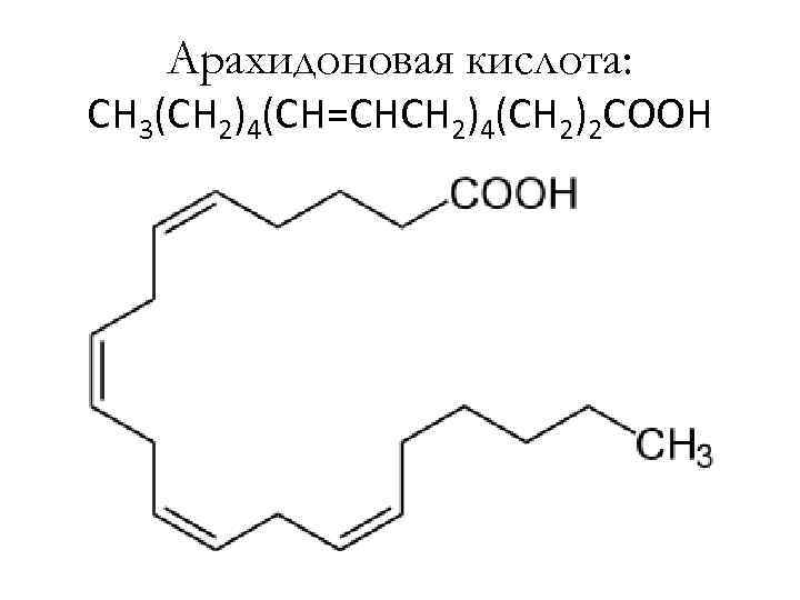   Арахидоновая кислота: CH 3(CH 2)4(CH=CHCH 2)4(CH 2)2 COOH 