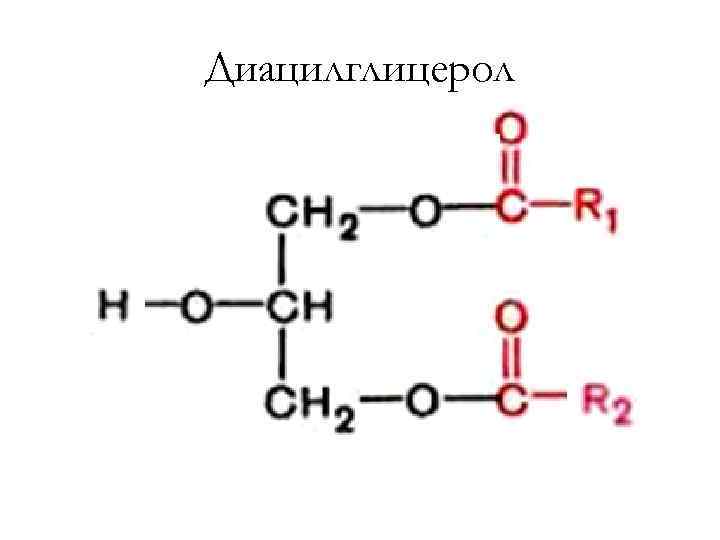 Диацилглицерол 