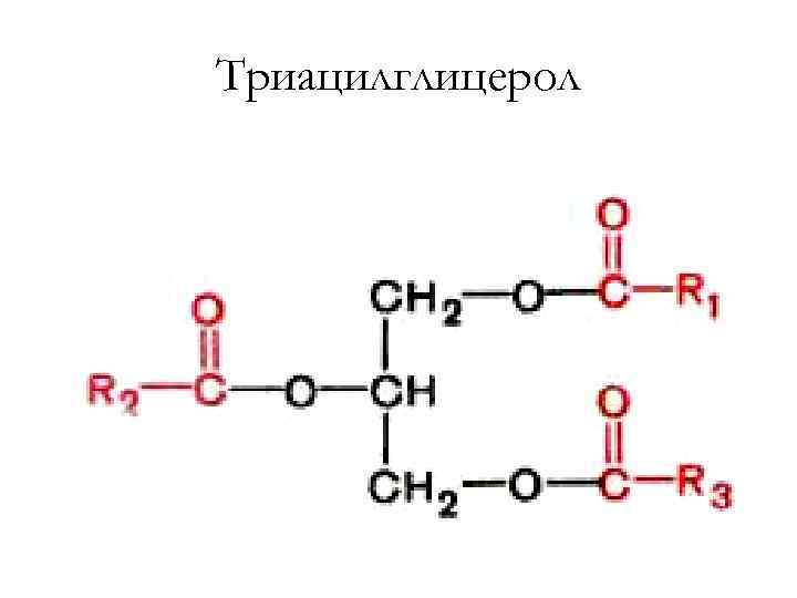 Триацилглицерол 