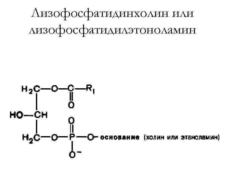 Лизофосфатидинхолин или лизофосфатидилэтоноламин 