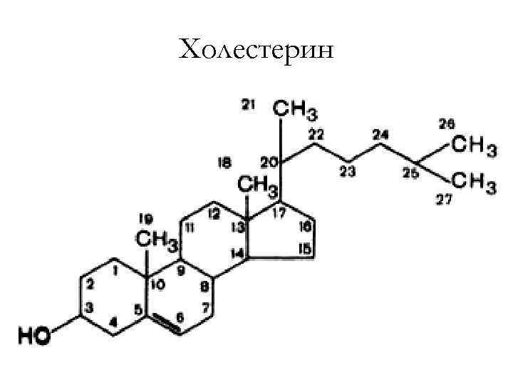Холестерин 
