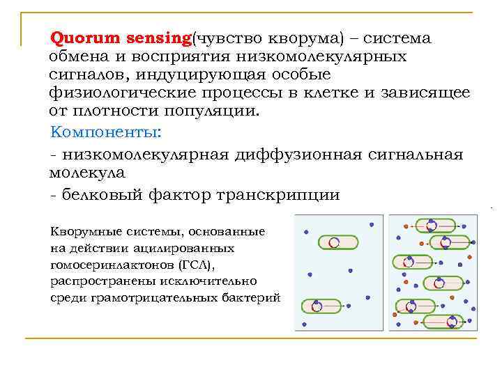Quorum sensing(чувство кворума) – система обмена и восприятия низкомолекулярных сигналов, индуцирующая особые физиологические процессы