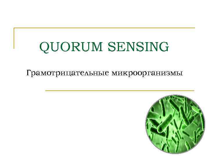  QUORUM SENSING Грамотрицательные микроорганизмы 