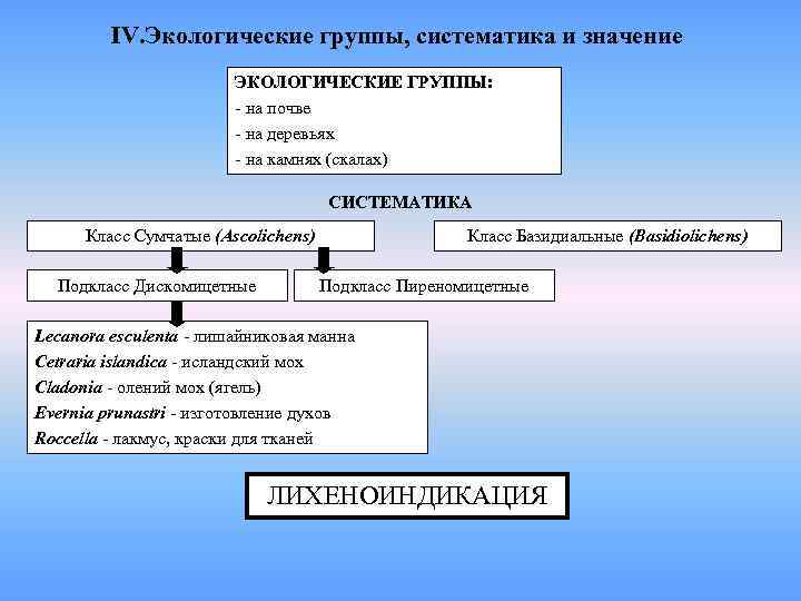    IV. Экологические группы, систематика и значение     ЭКОЛОГИЧЕСКИЕ