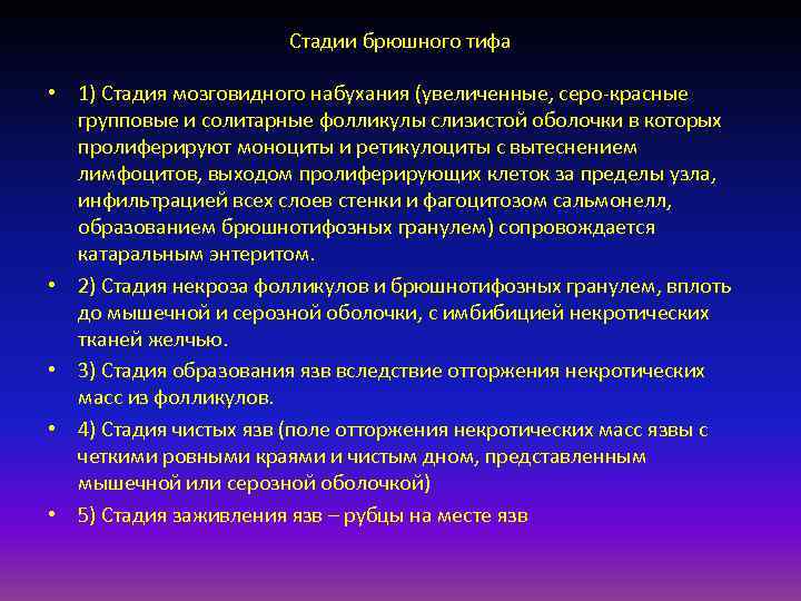      Стадии брюшного тифа  • 1) Стадия мозговидного набухания