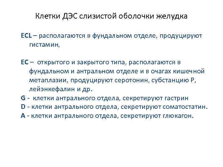   Клетки ДЭС слизистой оболочки желудка ECL – располагаются в фундальном отделе, продуцируют