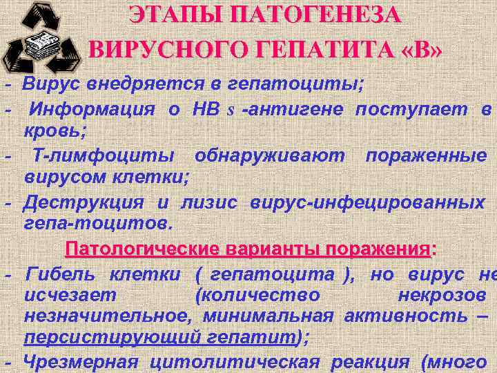 ЭТАПЫ ПАТОГЕНЕЗА ВИРУСНОГО ГЕПАТИТА «В» - Вирус внедряется в ЭТАПЫ ПАТОГЕНЕЗА ВИРУСНОГО ГЕПАТИТА «В» - Вирус внедряется в