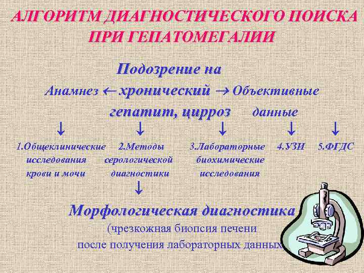 АЛГОРИТМ ДИАГНОСТИЧЕСКОГО ПОИСКА ПРИ ГЕПАТОМЕГАЛИИ АЛГОРИТМ ДИАГНОСТИЧЕСКОГО ПОИСКА ПРИ ГЕПАТОМЕГАЛИИ