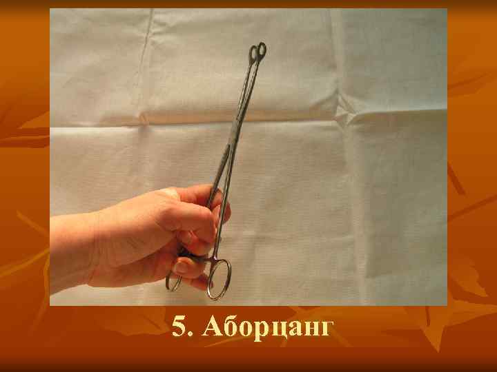 5. Аборцанг 