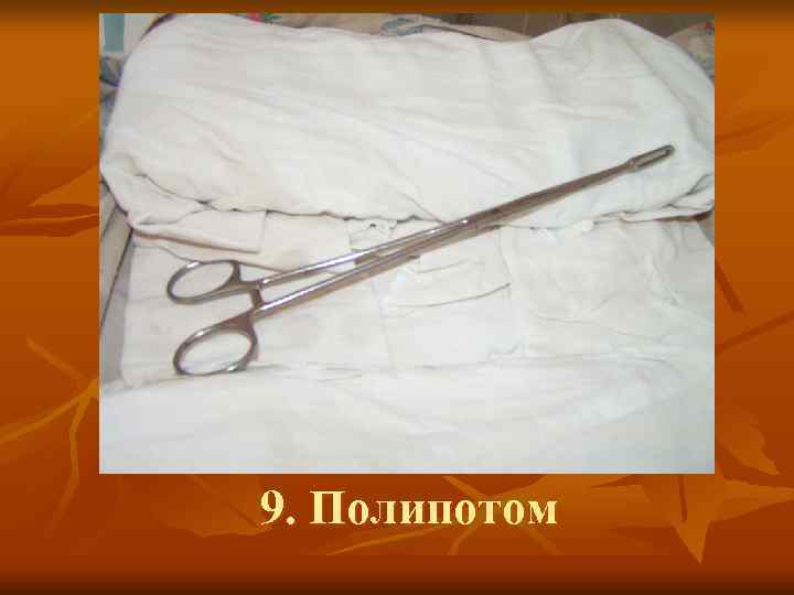 9. Полипотом 