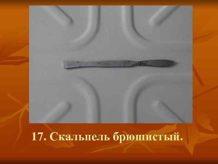 17. Скальпель брюшистый. 