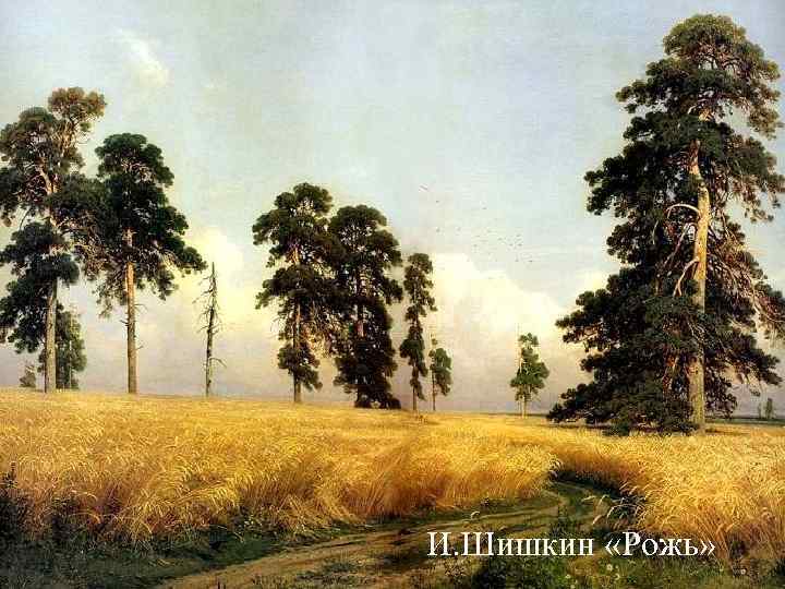 И. Шишкин «Рожь» И. Шишкин «Рожь»