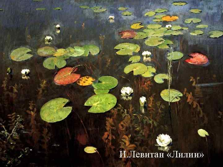 И. Левитан «Лилии» И. Левитан «Лилии»