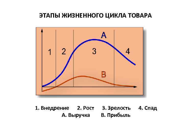 Графическое изображение этапов жизненного цикла изделия с позиции качества называется