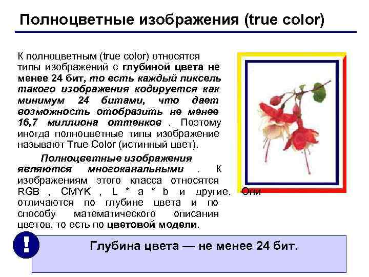 Полноцветные изображения (true color) К полноцветным (true color) относятся типы изображений с глубиной цвета Полноцветные изображения (true color) К полноцветным (true color) относятся типы изображений с глубиной цвета