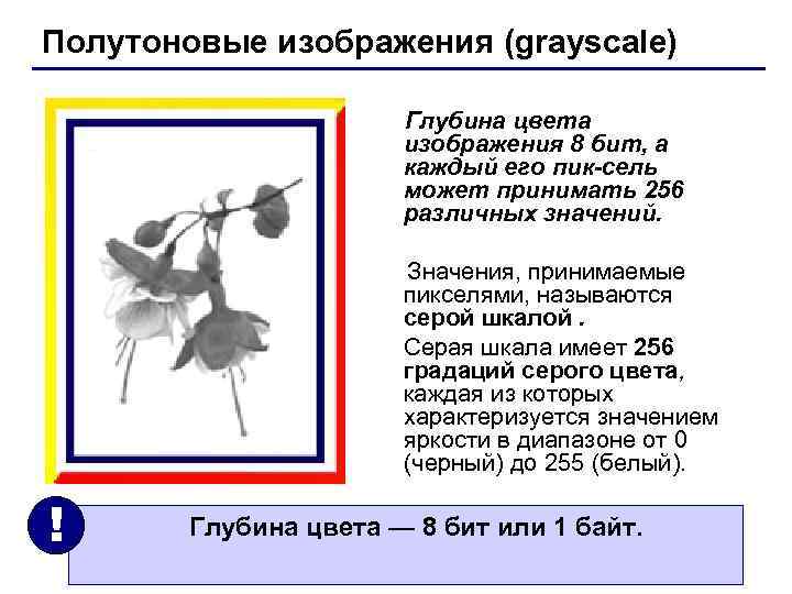 Полутоновые изображения (grayscale) Глубина цвета Полутоновые изображения (grayscale) Глубина цвета