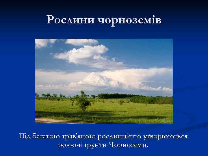   Рослини чорноземів Під багатою трав'яною рослинністю утворюються  родючі ґрунти Чорноземи. 