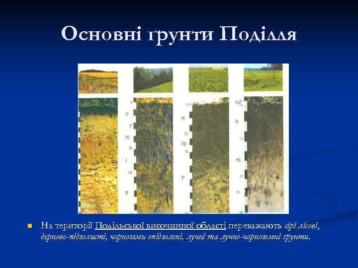    Основні ґрунти Поділля n  На території Подільської височинної області переважають