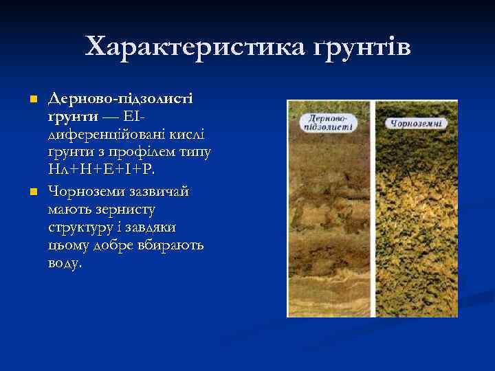   Характеристика ґрунтів n  Дерново-підзолисті ґрунти — ЕІ- диференційовані кислі ґрунти з