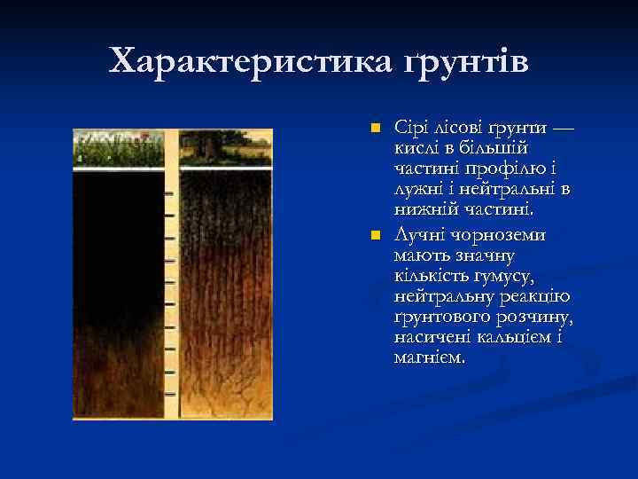 Характеристика ґрунтів   n  Сірі лісові ґрунти —   кислі в
