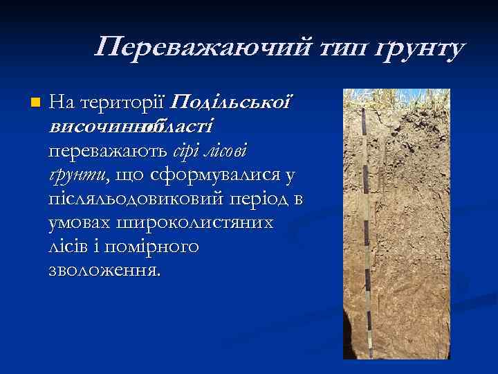   Переважаючий тип ґрунту n  На території Подільської височинної   області