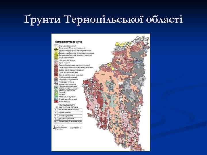 Ґрунти Тернопільської області 