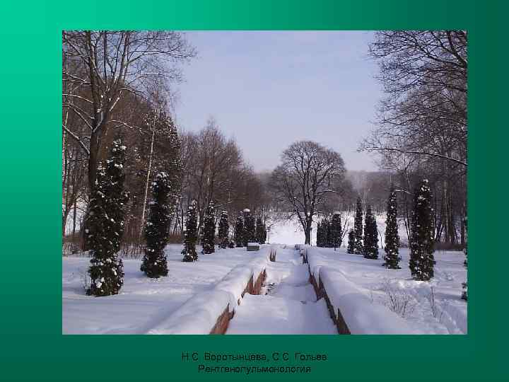 Н. С. Воротынцева, С. С. Гольев  Рентгенопульмонология 