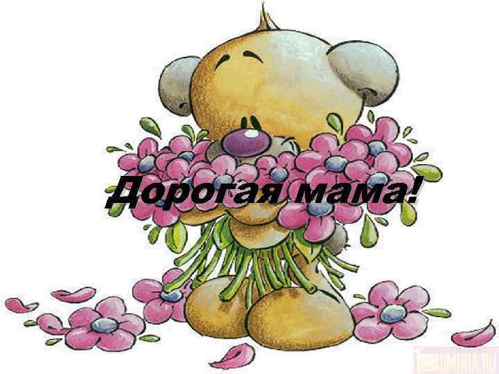 Дорогая мама! 