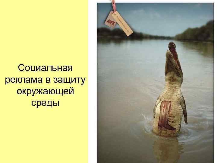 Социальная реклама в защиту окружающей среды Социальная реклама в защиту окружающей среды