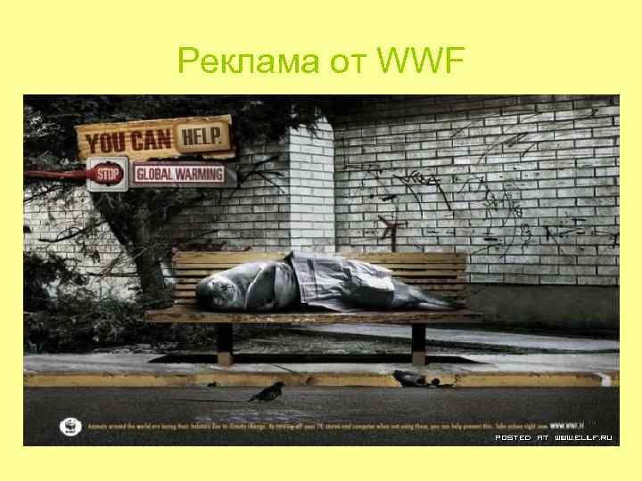 Реклама от WWF Реклама от WWF