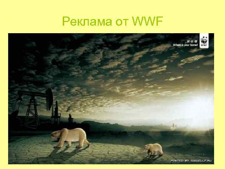 Реклама от WWF Реклама от WWF