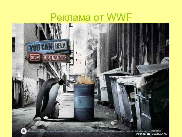 Реклама от WWF Реклама от WWF