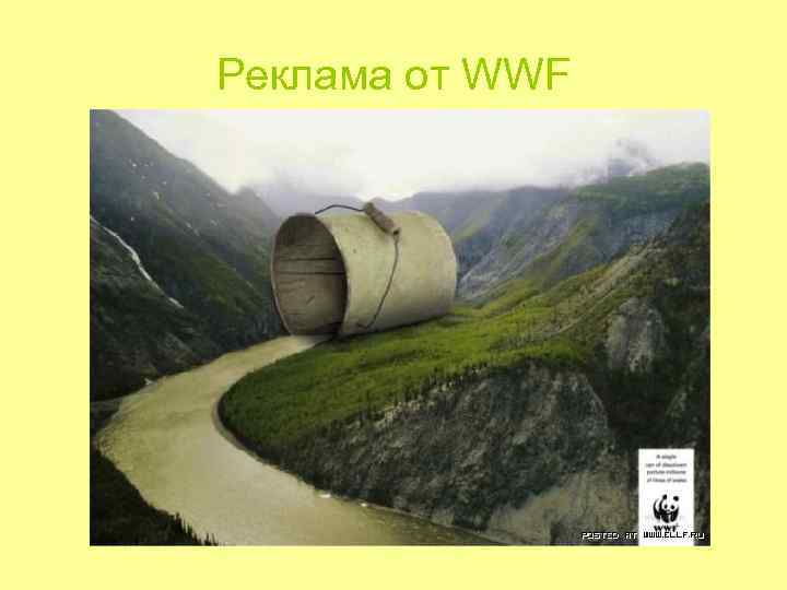 Реклама от WWF Реклама от WWF