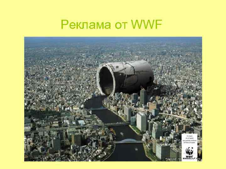 Реклама от WWF Реклама от WWF