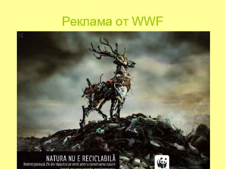 Реклама от WWF Реклама от WWF
