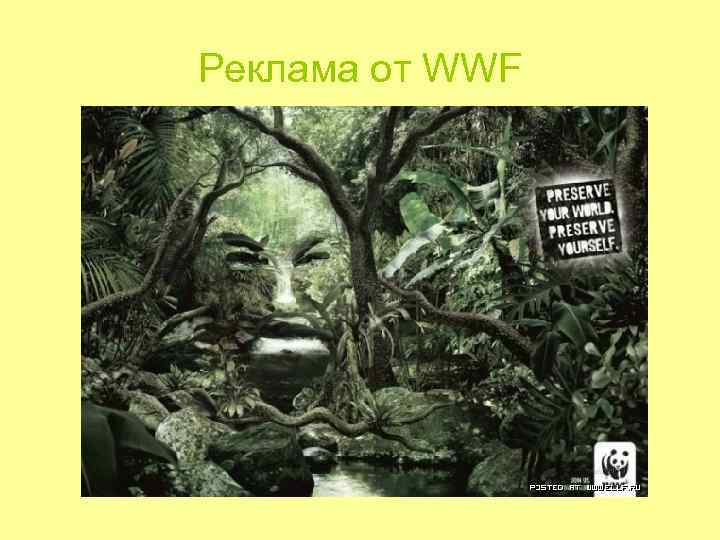Реклама от WWF Реклама от WWF