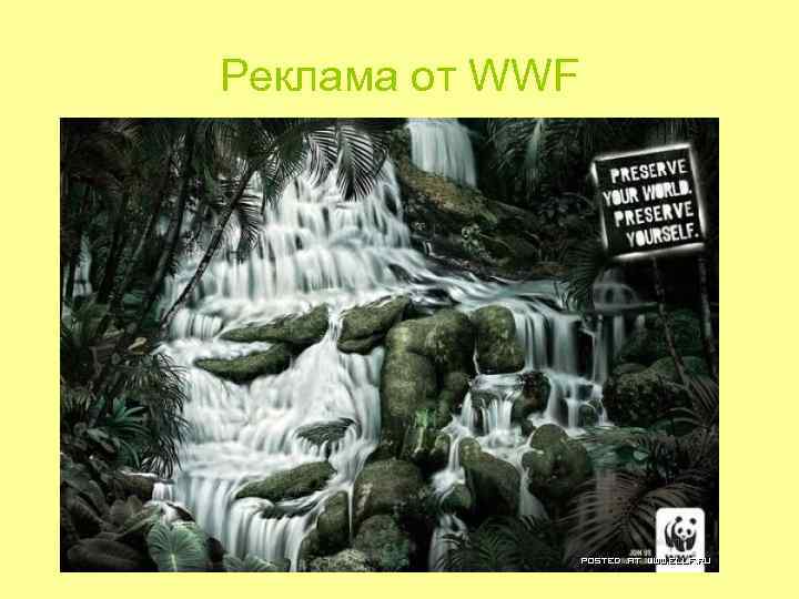 Реклама от WWF Реклама от WWF