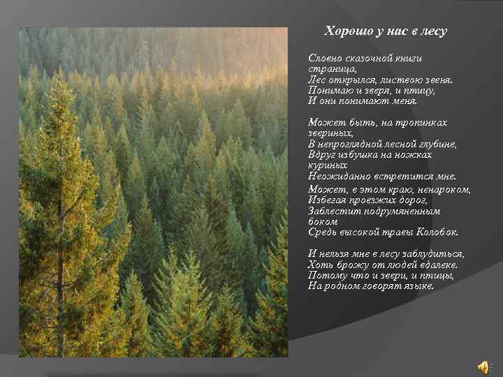   Хорошо у нас в лесу Словно сказочной книги страница,  Лес открылся,