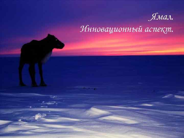     Ямал. Инновационный аспект. 