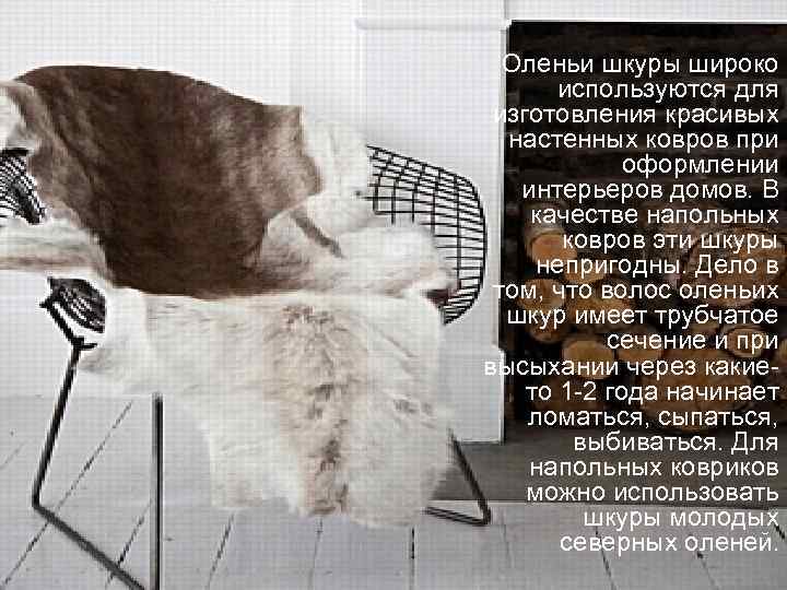  Оленьи шкуры широко   используются для  изготовления красивых  настенных ковров