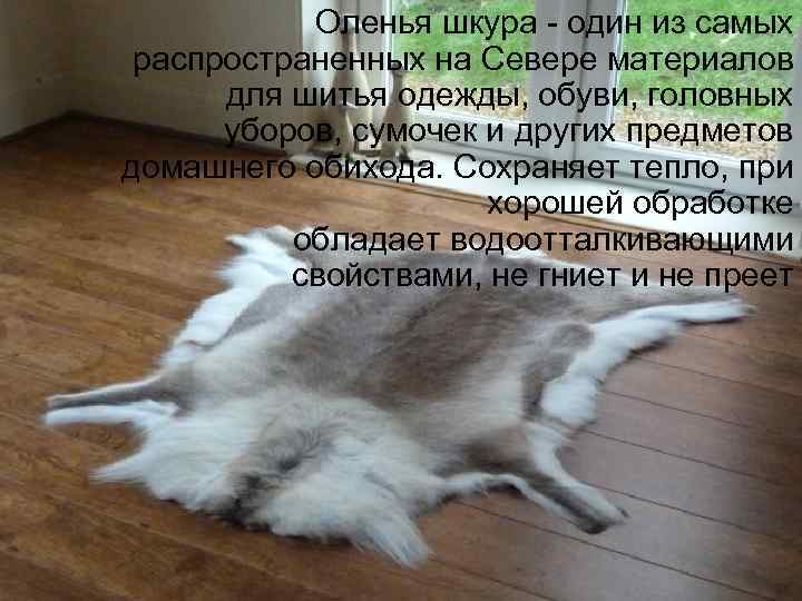   Оленья шкура - один из самых  распространенных на Севере материалов 